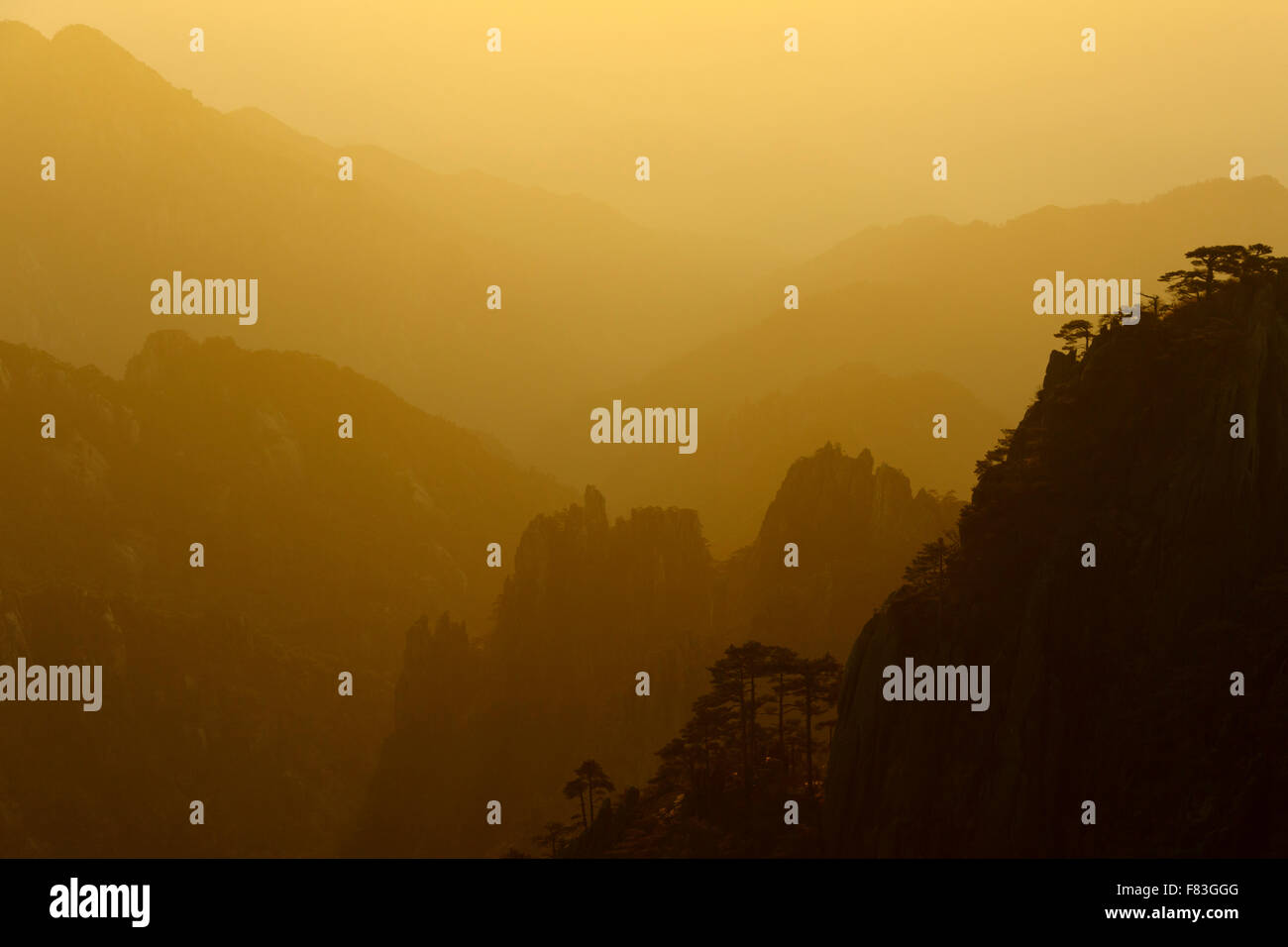 Sunrise retroilluminato pendici boscose montagne giallo (Huangshan) provincia di Anhui Cina LA008642 Foto Stock