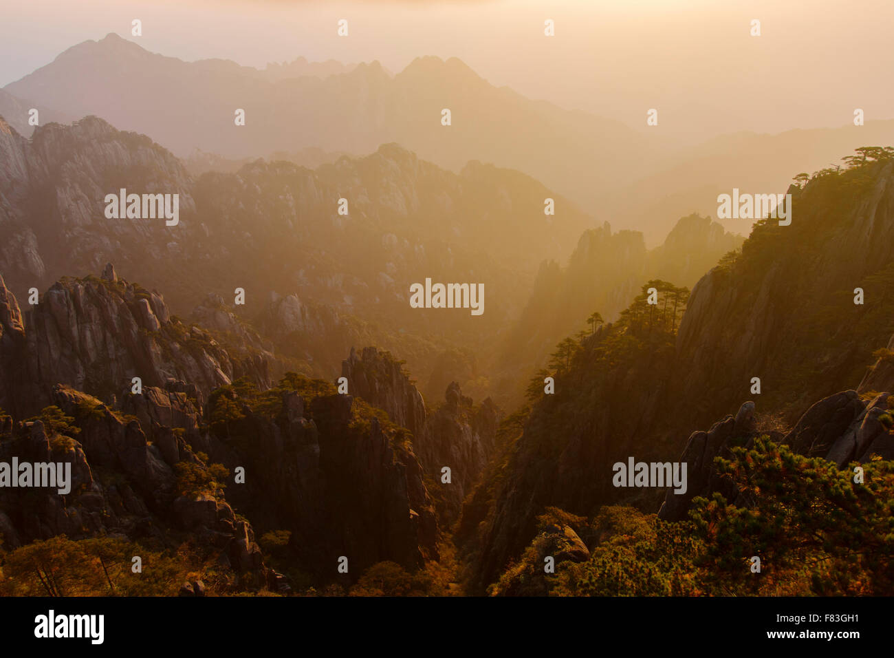 Sunrise retroilluminato pendici boscose montagne giallo (Huangshan) provincia di Anhui Cina LA008643 Foto Stock