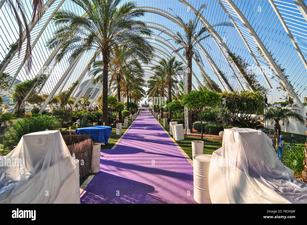 Culturale complesso scientifico a Valencia Spagna ,architettura di Santiago Calatrava, essa contiene sette edifici. Foto Stock