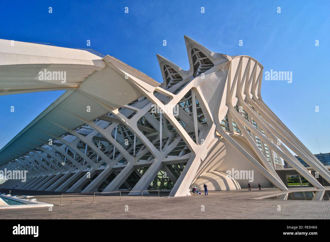 Culturale complesso scientifico a Valencia Spagna ,architettura di Santiago Calatrava, essa contiene sette edifici. Foto Stock