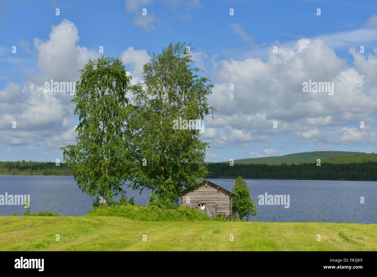 In estate il paesaggio del nord con il fienile. Finlandia e Lapponia Foto Stock