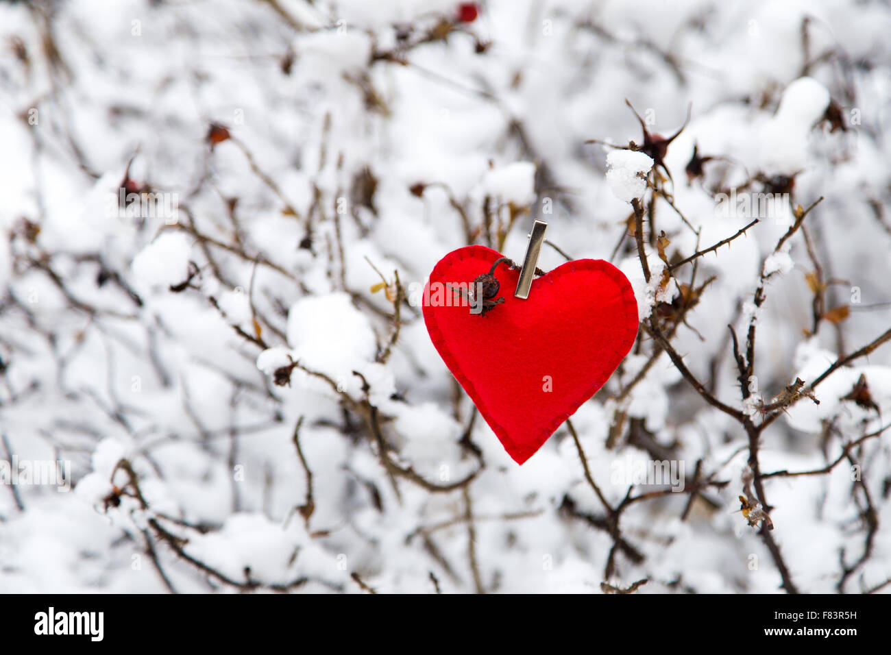 Tessile cuore rosso sulla neve ramo di albero in inverno Foto Stock