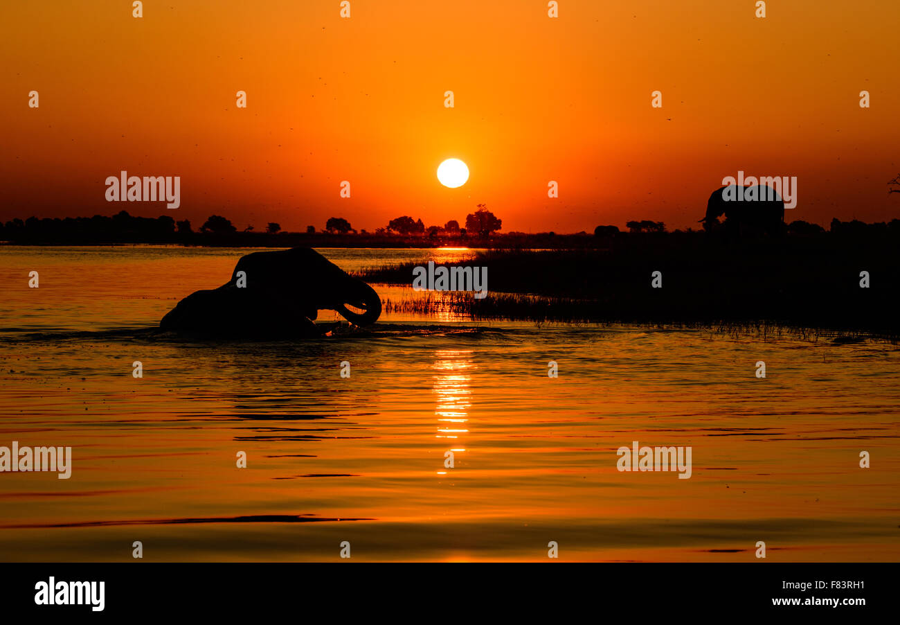 tramonto africano Foto Stock