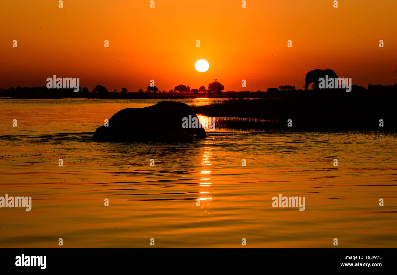 Fiume Chobe tramonto Foto Stock