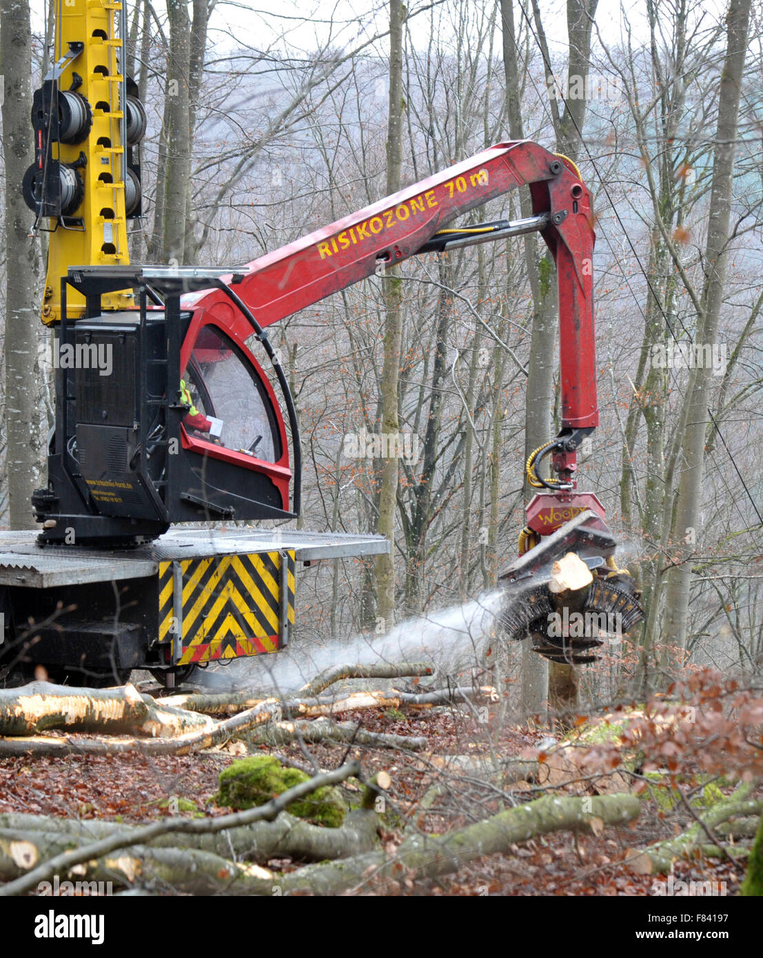 Bopfingen, Germania. 04 Dic, 2015. Un albero abbattuto è elaborato utilizzando un harvester vicino a Bopfingen, Germania, 04 dicembre 2015. Il raccolto di legno è in funzione a pieno regime durante i mesi invernali. Foto: STEFAN PUCHNER/dpa/Alamy Live News Foto Stock