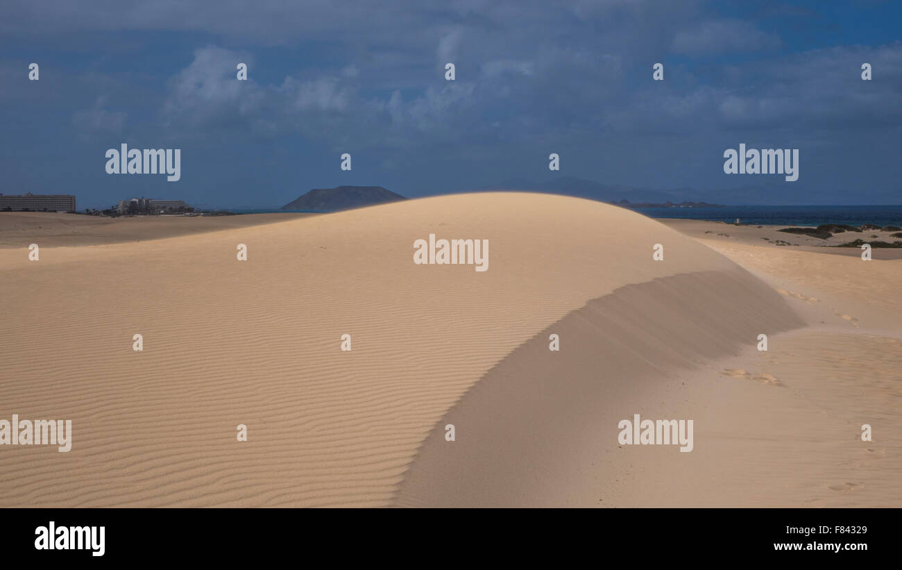 La parte Naturale di Corralejo, Fuerteventura, Isole canarie, Spagna Foto Stock