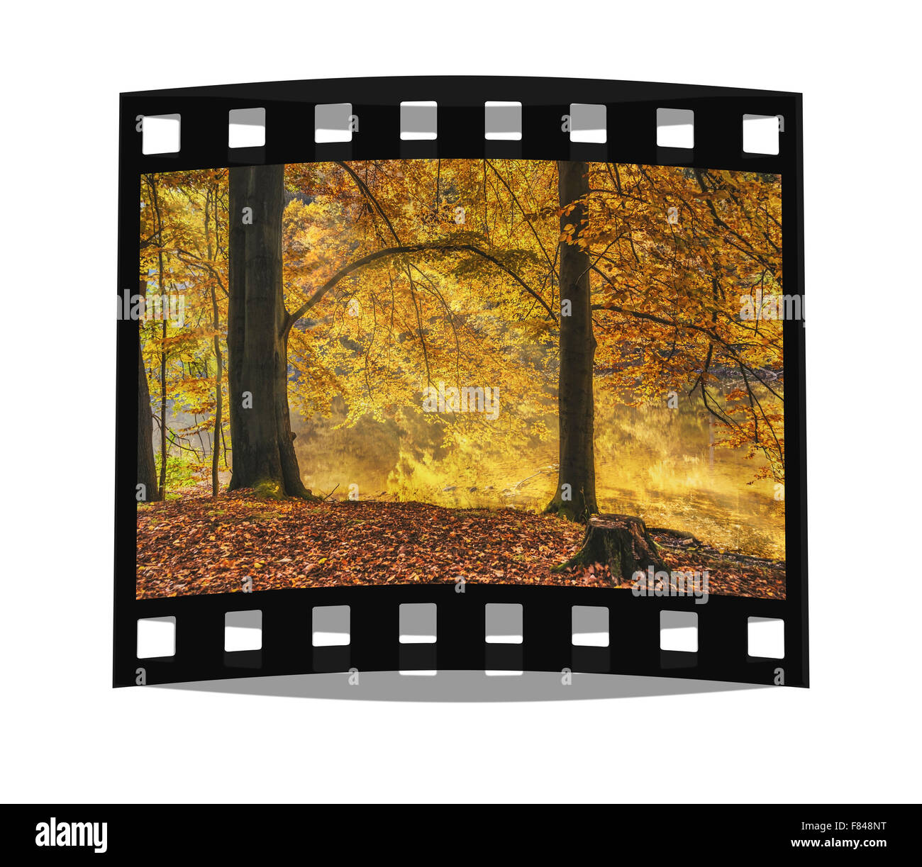Foresta di tedesco in autunno Foto Stock