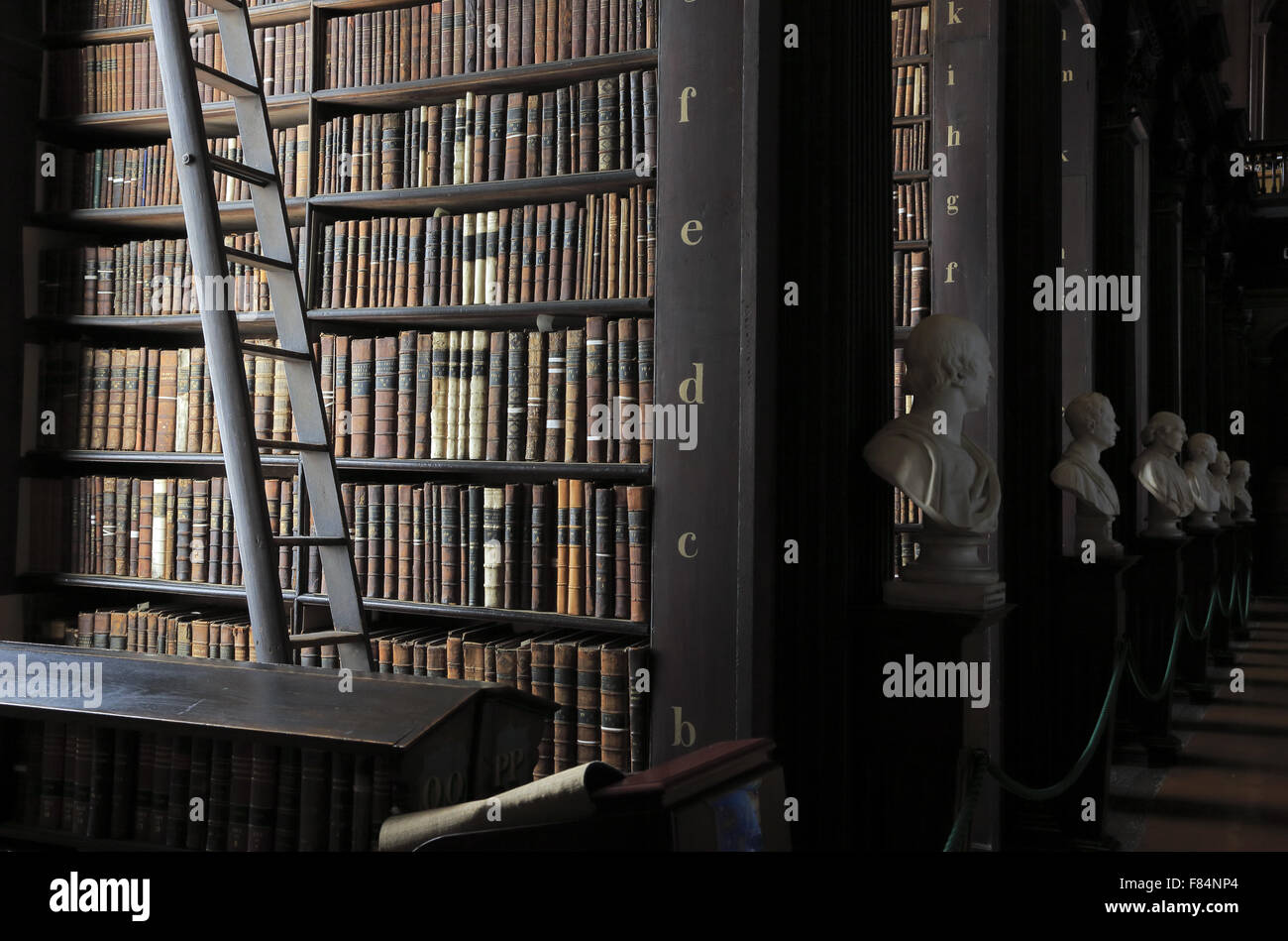 Libri antichi memorizzati su scaffalature all'interno della sala lunga della vecchia libreria del Trinity College di Dublino, Irlanda Foto Stock