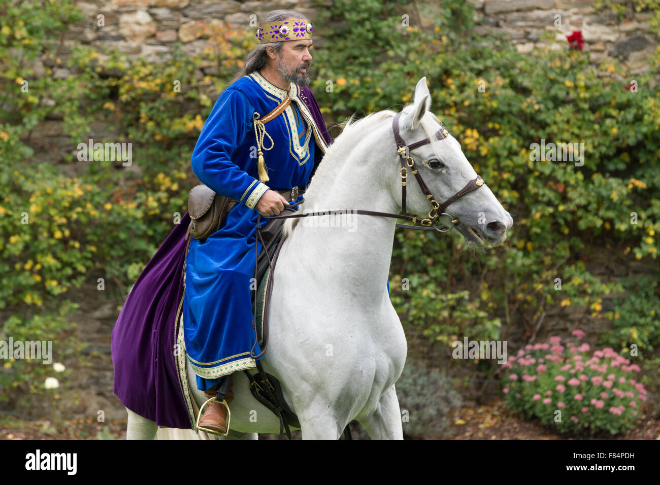 A montato falconer al Rosenberg castello rinascimentale in Austria Inferiore Foto Stock