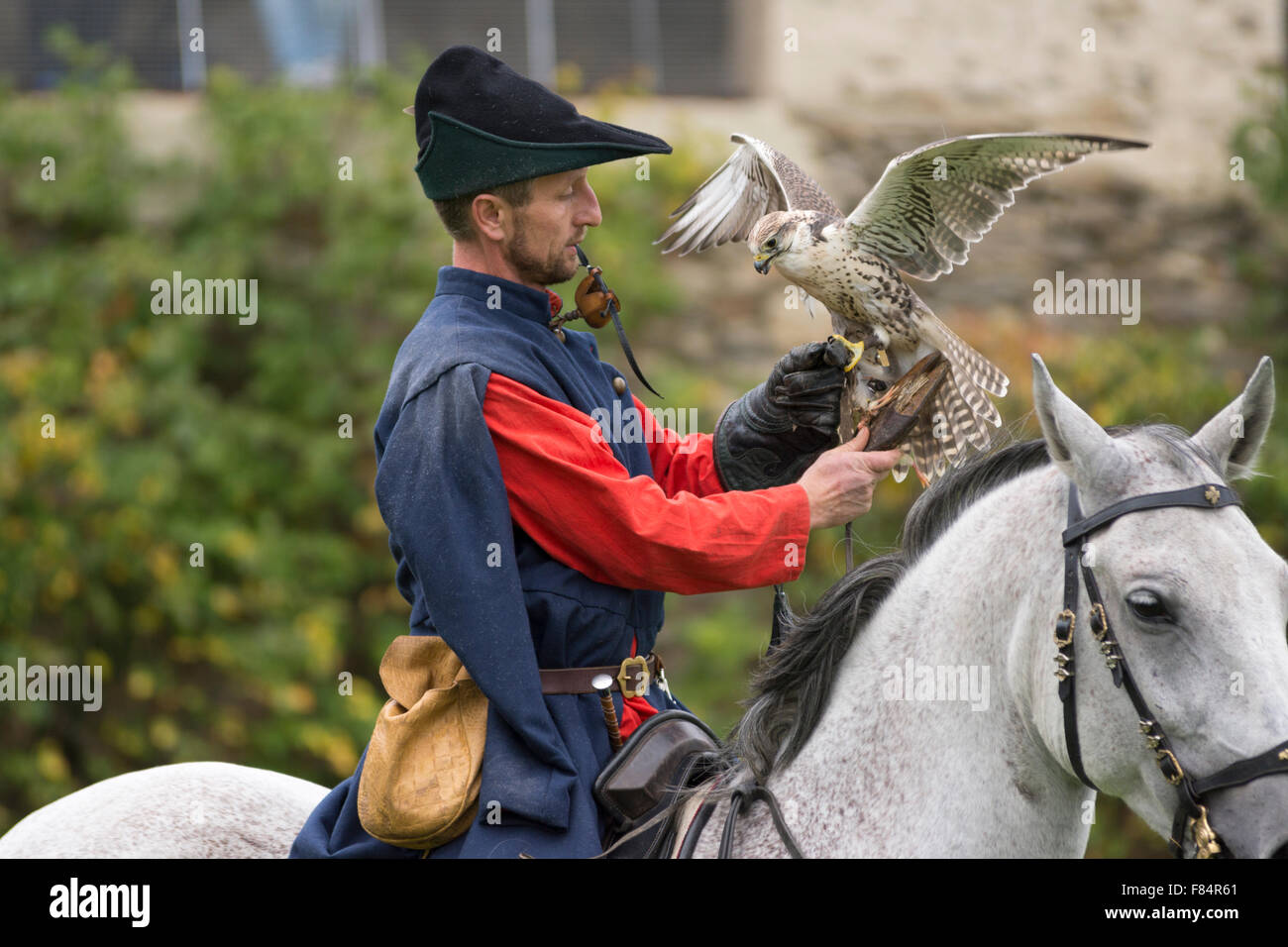 A montato falconer al Rosenberg castello rinascimentale in Austria Inferiore Foto Stock