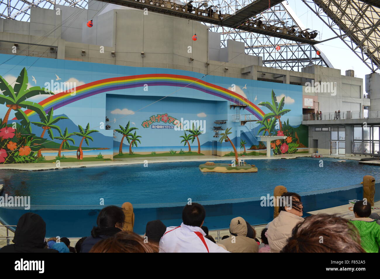 Dolphin Dance in acquario marino: la più grande collezione di pesci e animali del mare in acquario giapponese Foto Stock