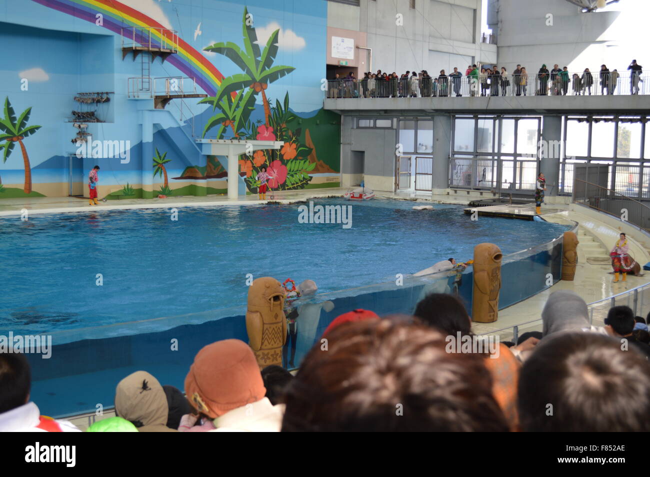 Dolphin Dance in acquario marino: la più grande collezione di pesci e animali del mare in acquario giapponese Foto Stock