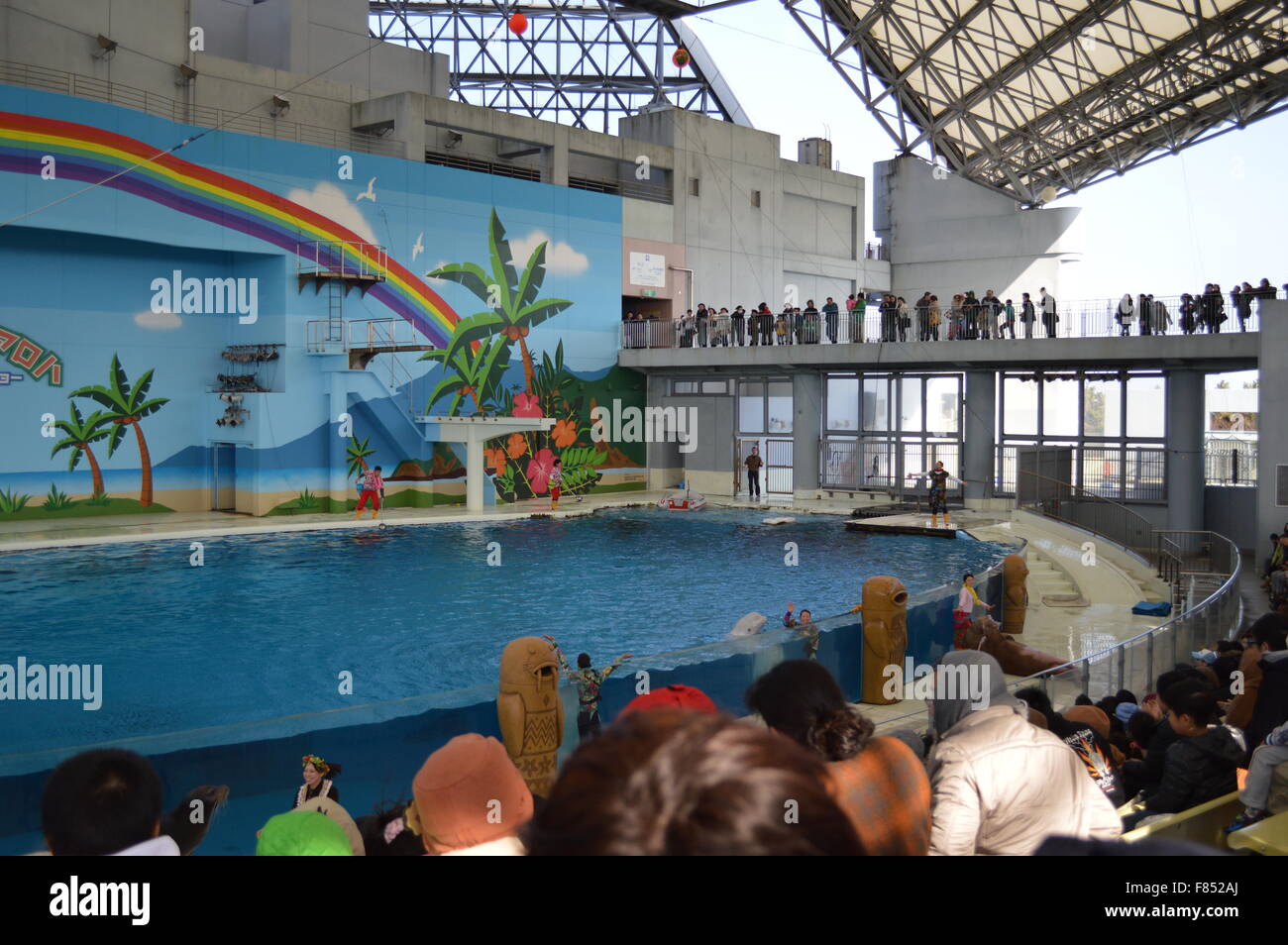 Dolphin Dance in acquario marino: la più grande collezione di pesci e animali del mare in acquario giapponese Foto Stock