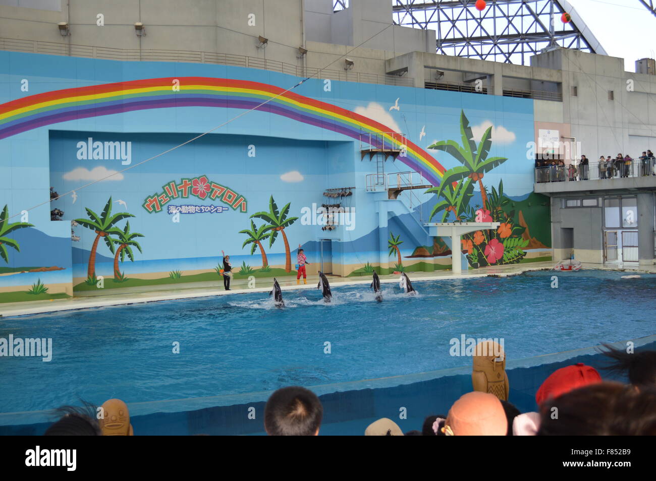 Dolphin Dance in acquario marino: la più grande collezione di pesci e animali del mare in acquario giapponese Foto Stock