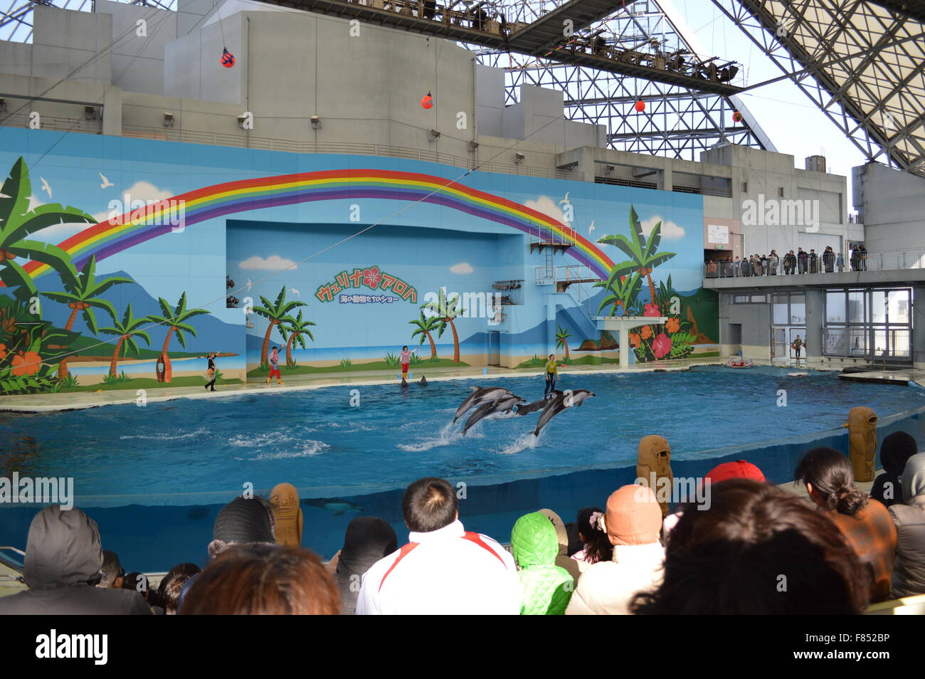 Dolphin Dance in acquario marino: la più grande collezione di pesci e animali del mare in acquario giapponese Foto Stock