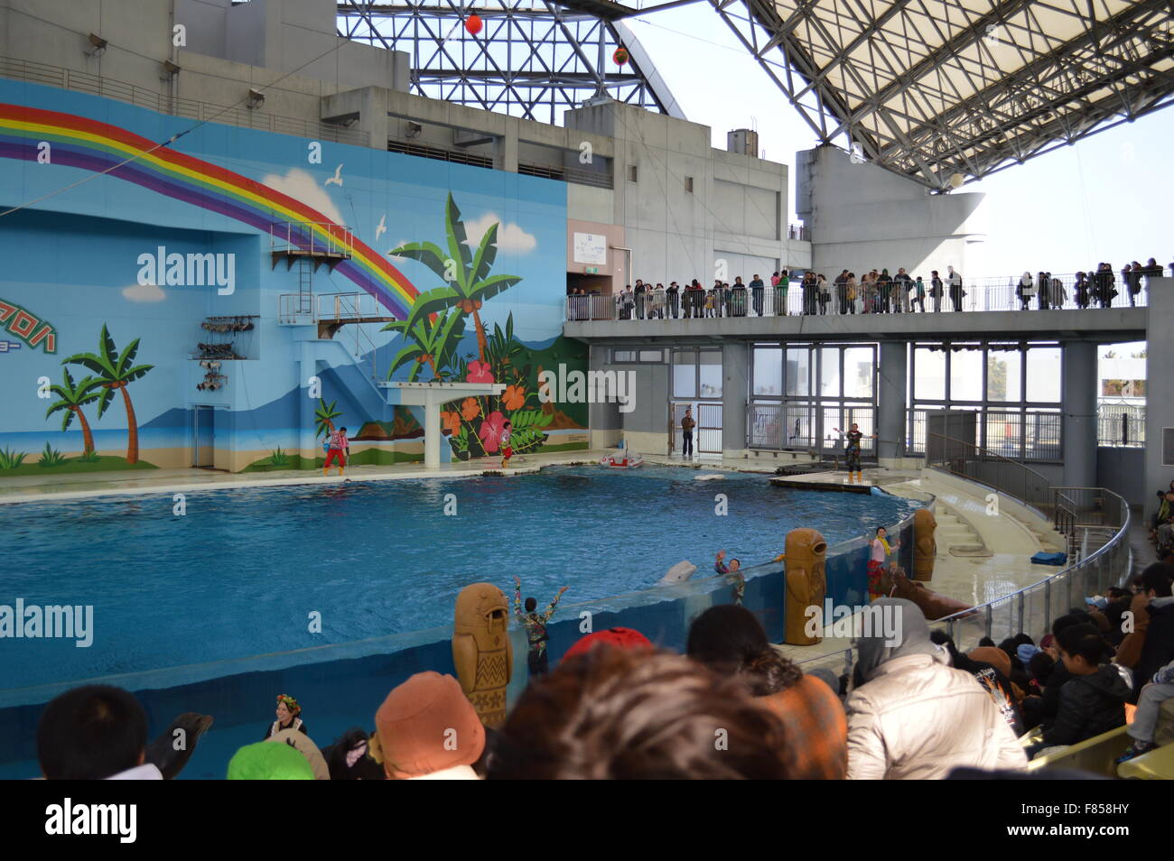 Dolphin Dance in acquario marino: la più grande collezione di pesci e animali del mare in acquario giapponese Foto Stock