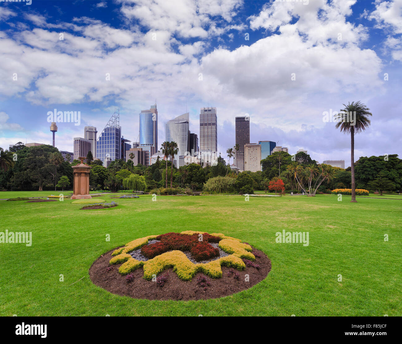 Verde erba Campi del Royal National giardino nel centro di Sydney, Australia, su una soleggiata giornata estiva con grattacieli in backgrou Foto Stock