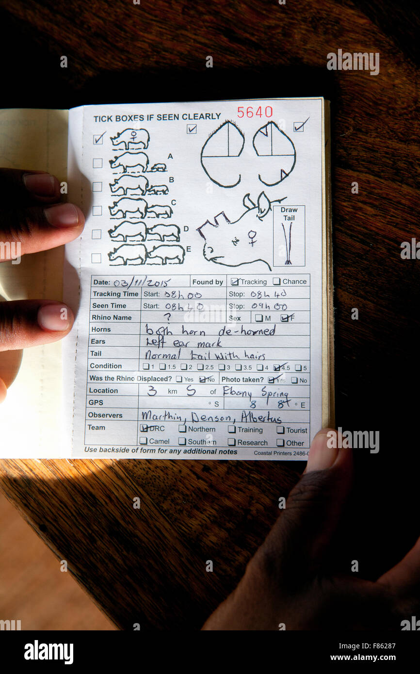 Rhino Notebook di avvistamento - Salva il Rhino Trust - Deserto nel campo di Rhino, Damaraland, Namibia, Africa Foto Stock