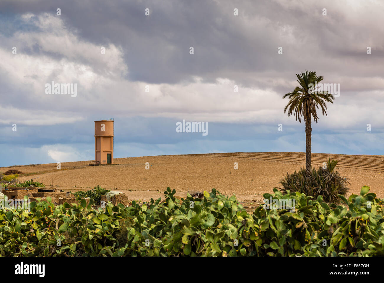 Il paesaggio intorno a Marrakech, in primo piano la recinzione di opuntias. Foto Stock