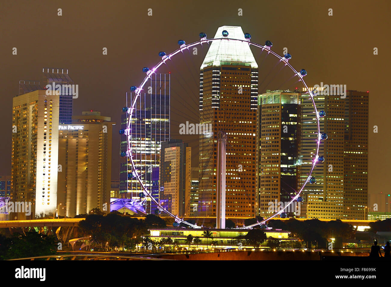 Singapore Flyer Observation Wheel, Singapore, Repubblica di Singapore Foto Stock