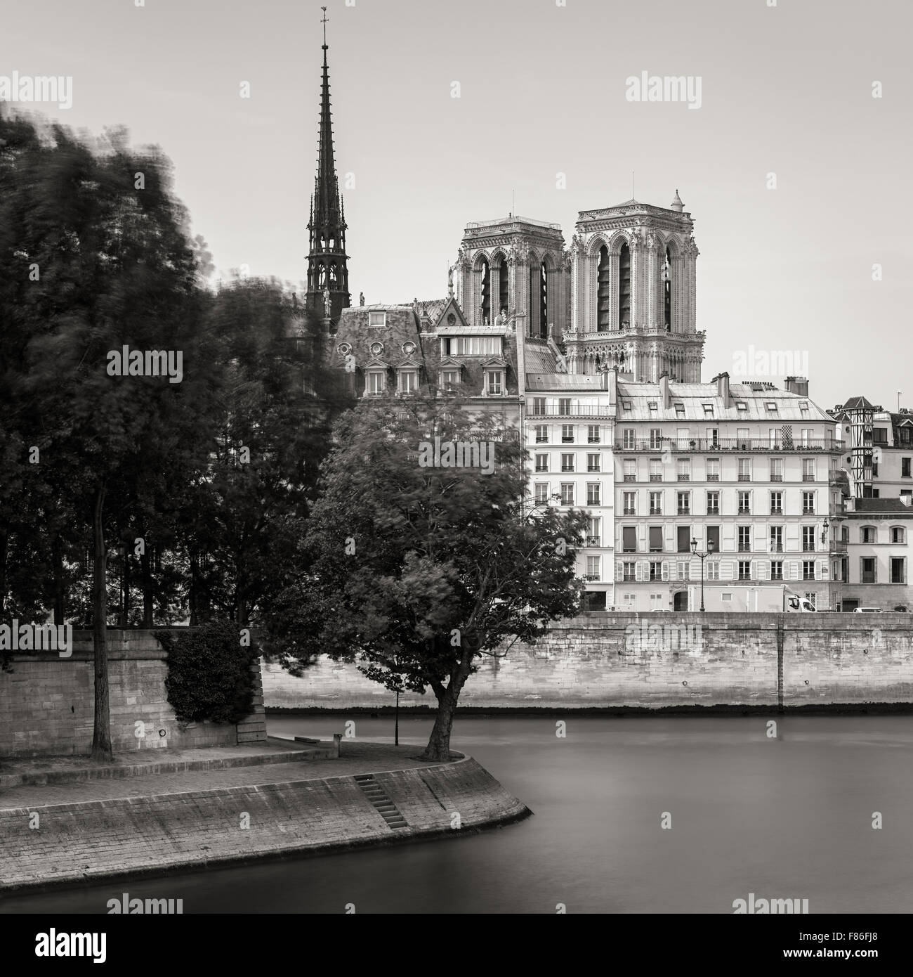 Punta del Ile Saint Louis e torri e la guglia della cattedrale di Notre Dame de Paris (Ile de la Cite) lungo la sponda del fiume Senna Foto Stock