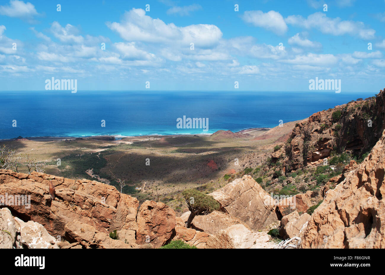 Isola di Socotra, panoramica dall altopiano Homhil: Dragon alberi di sangue e il Mare Arabico Foto Stock