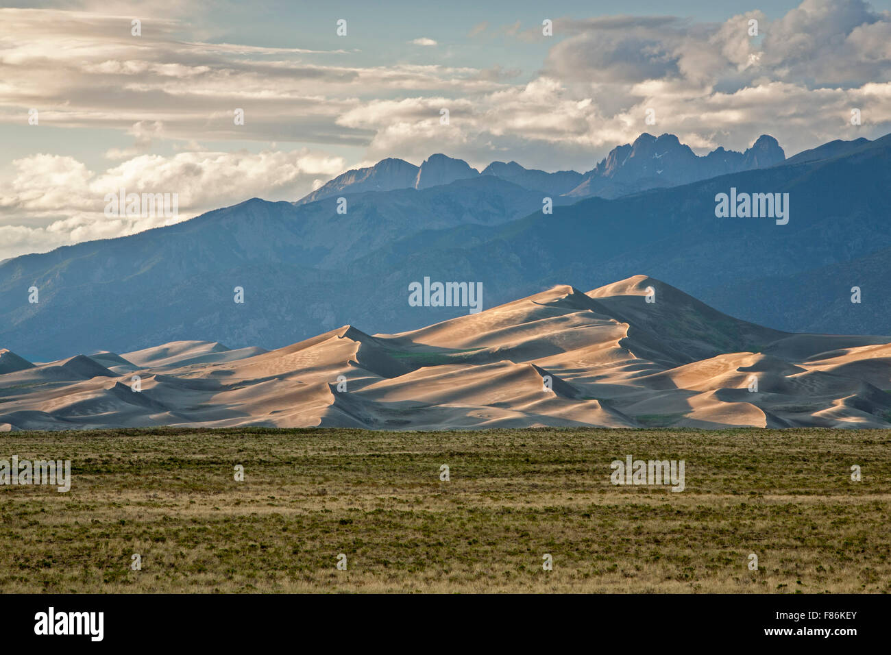 Erba, dune e Sangre de Cristo Mountains, Grande dune sabbiose del Parco Nazionale e preservare, Colorado, STATI UNITI D'AMERICA Foto Stock