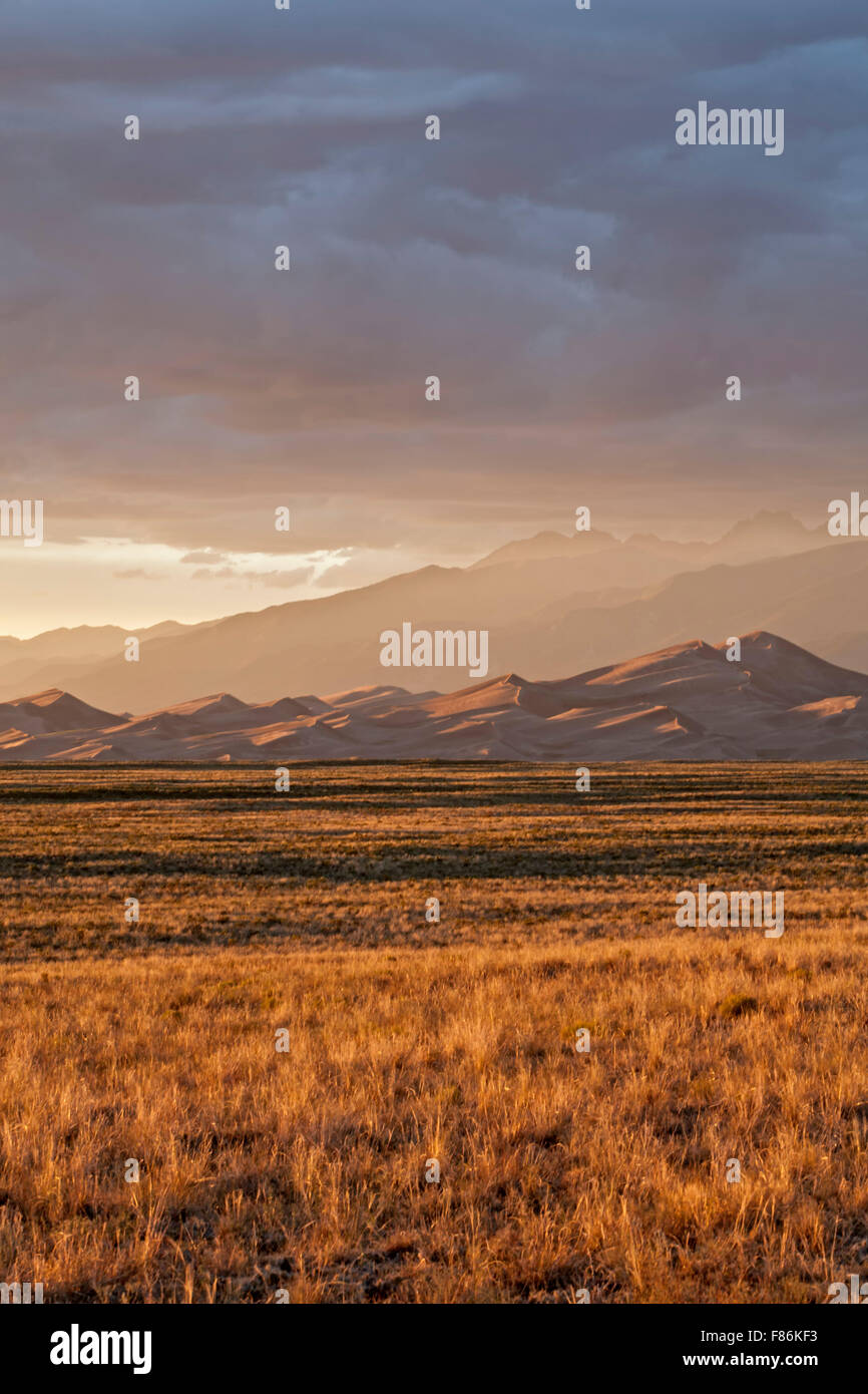 Erba, dune e Sangre de Cristo Mountains al tramonto, Grande dune sabbiose del Parco Nazionale e preservare, Colorado, STATI UNITI D'AMERICA Foto Stock