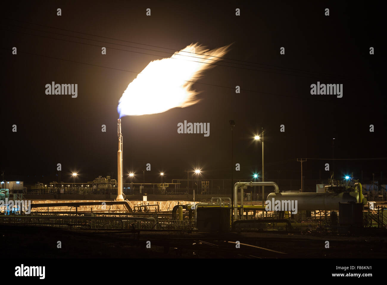 Gas di torcia di fiamma in una raffineria di petrolio vegetale. Industria petrolifera Foto Stock
