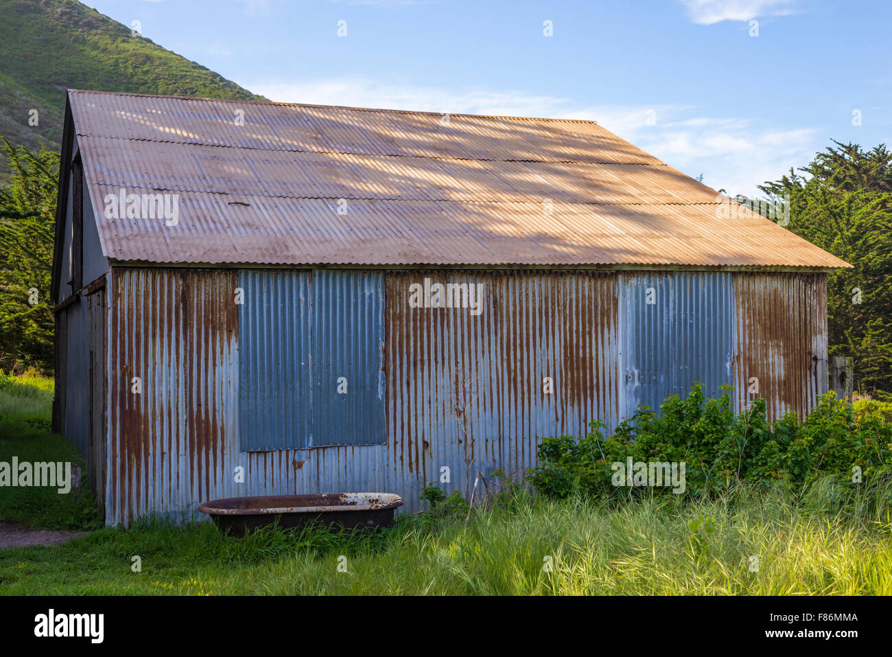 Metallo fatiscente fienile. Garrapata State Park, California, Stati Uniti. Foto Stock