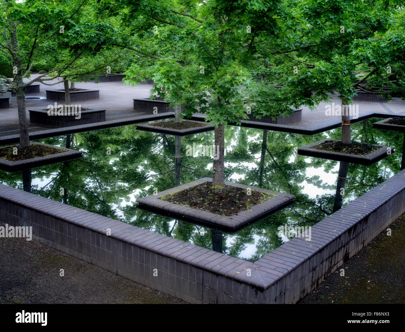 Alberi di acero nel riflettere la piscina. Il Giardino di Oregon. Silverton, Oregon Foto Stock