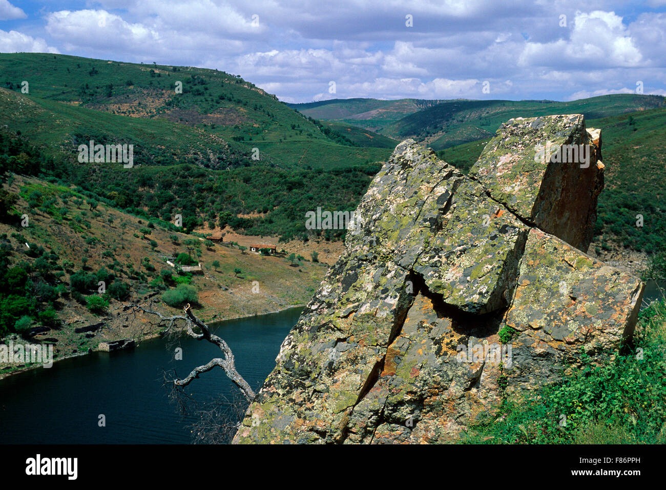 Vista del fiume Tago, Monfrague National Park, Estremadura, Spagna, Europa Foto Stock