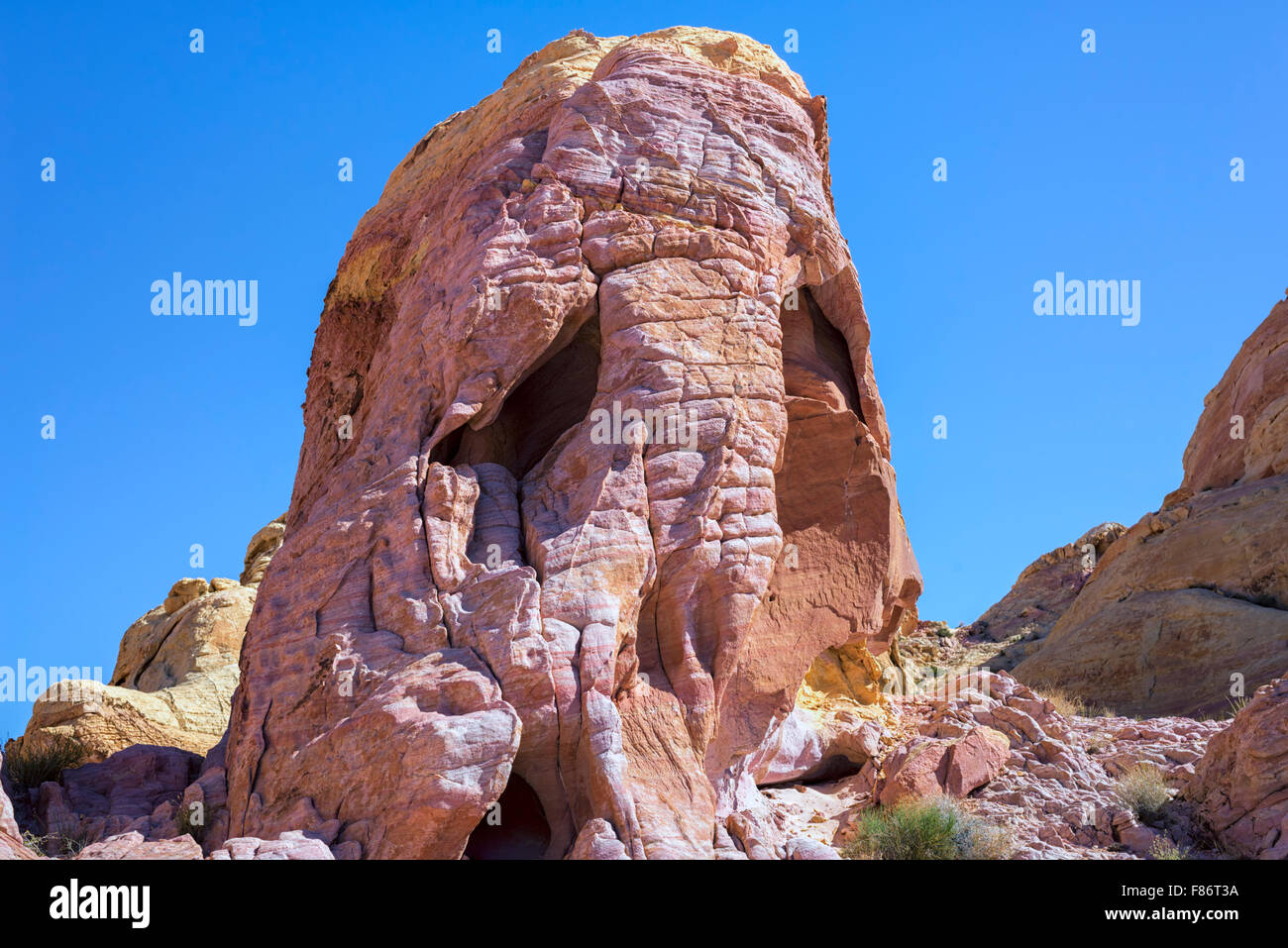 A forma di teschio formazione rocciosa. La Valle del Fuoco del parco statale, Nevada, Stati Uniti. Foto Stock
