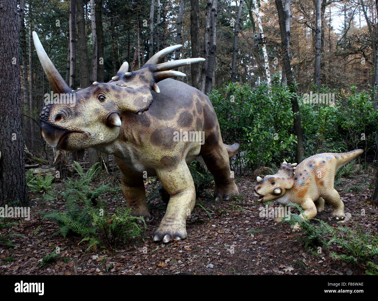 Styracosaurus (spiked lucertola) dinosauro con giovani, Cretaceo era dino realistiche statue Dinopark Zoo di Amersfoort, Paesi Bassi Foto Stock