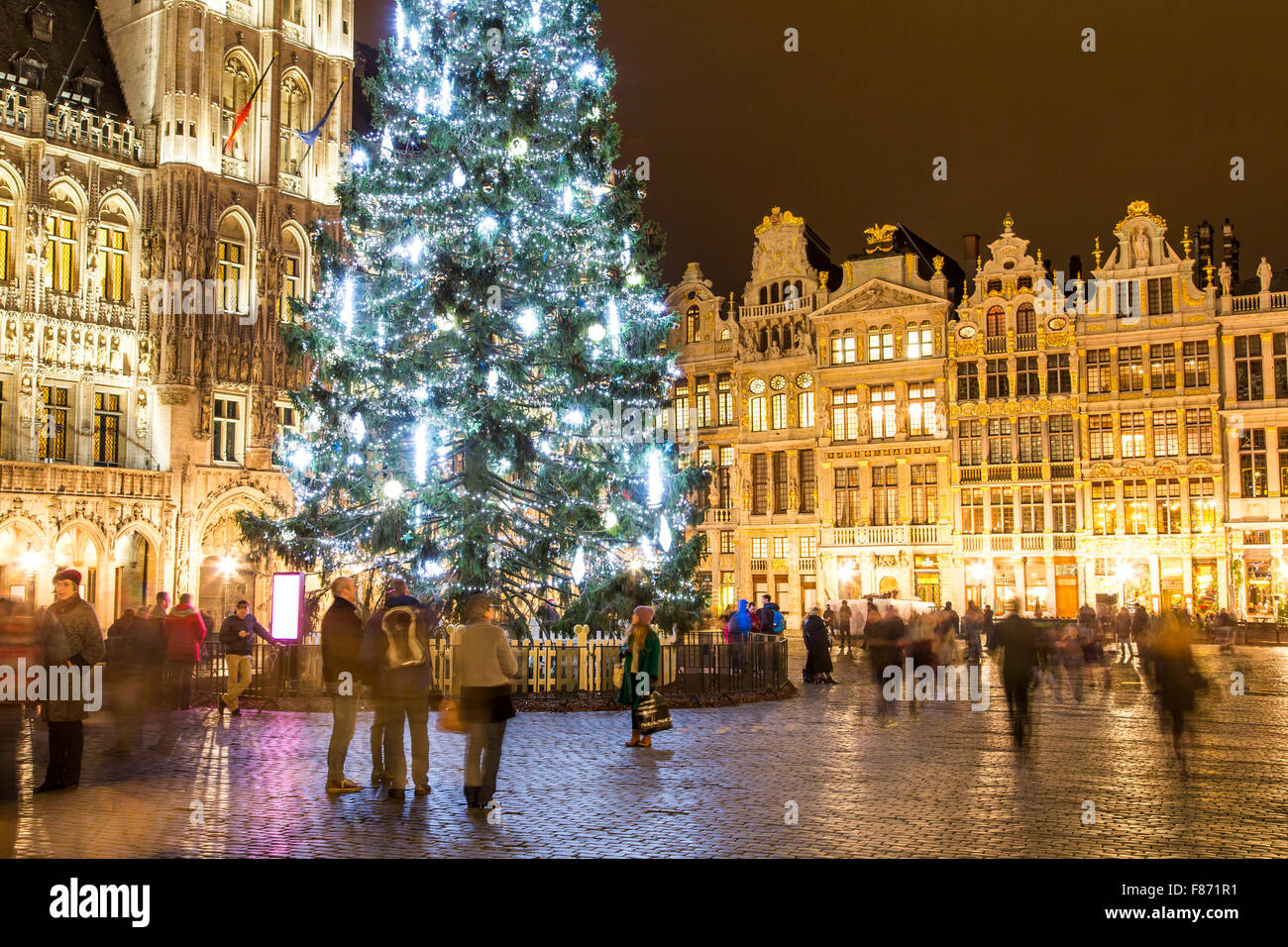 Tempo di Natale a Bruxelles, in Belgio, un enorme albero di Natale sulla Grand Place, con facciate illuminate delle vecchie case intorno Foto Stock