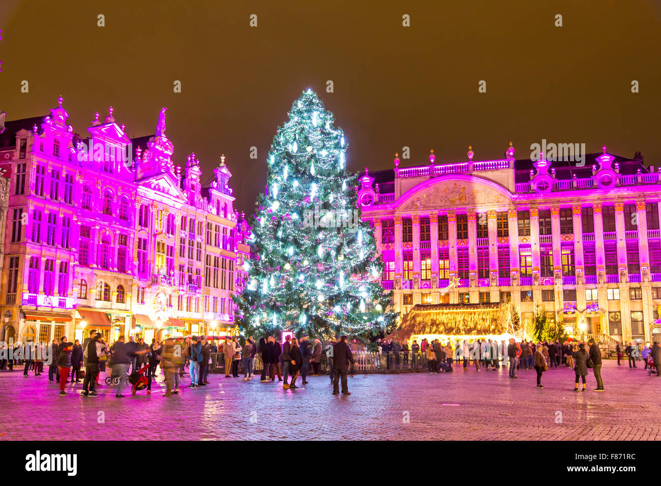 Tempo di Natale a Bruxelles, in Belgio, un enorme albero di Natale sulla Grand Place, con facciate illuminate delle vecchie case intorno Foto Stock