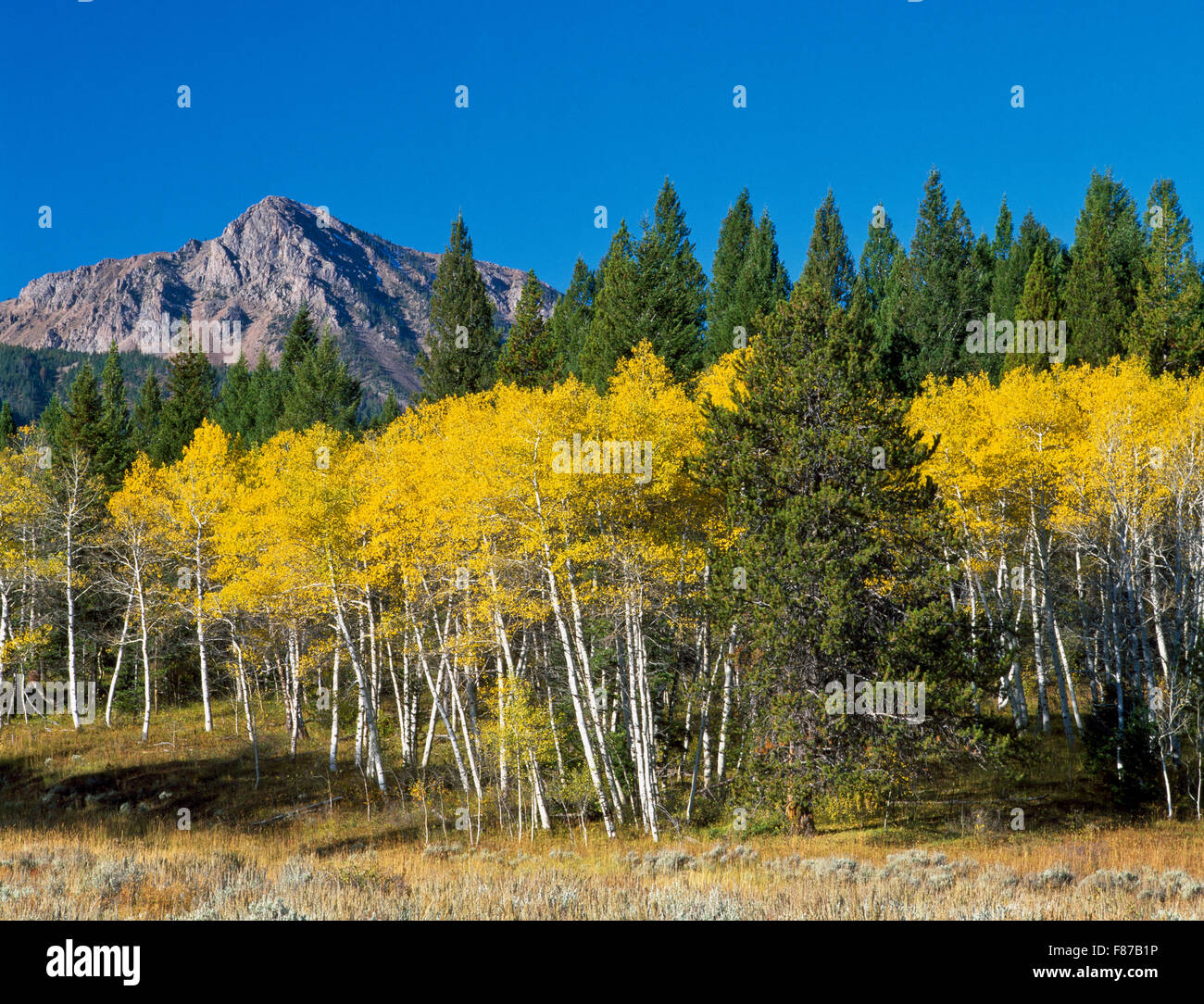 Il Centennial Mountains e aspen in autunno a colori sotto il red rock passano in prossimità henrys lago, Idaho Foto Stock