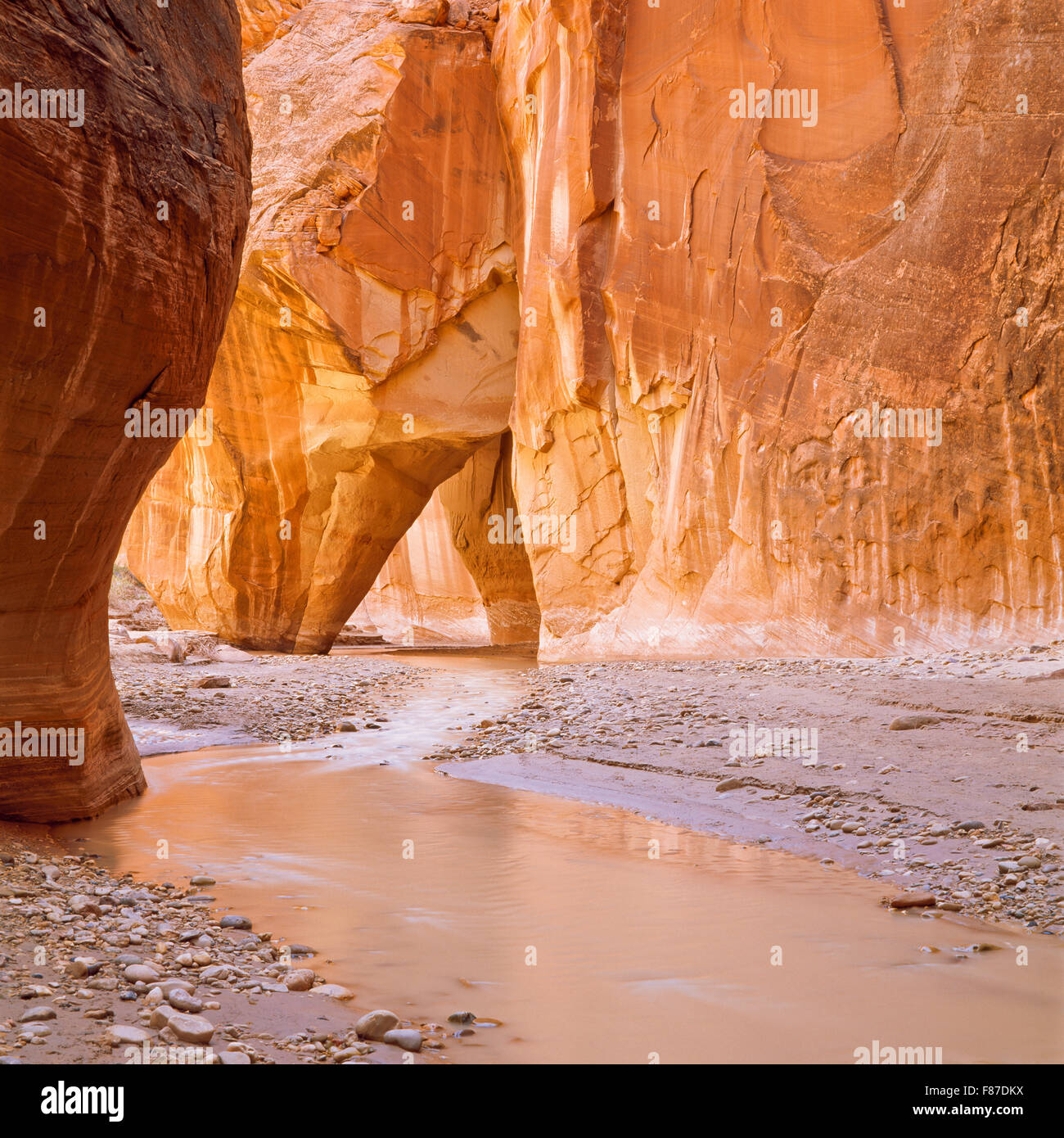 il fiume paria scorre sotto la roccia di scorrimento in uno stretto canyon vicino a kanab, utah Foto Stock