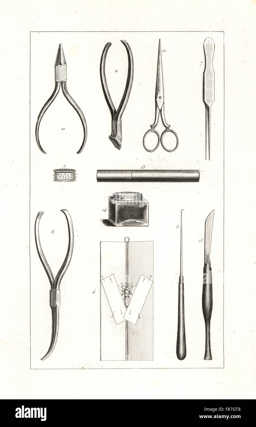 Butterfly collector's tools dal XVIII secolo: spine 3, ago curvo per il supporto di antenne 5, per orologiai pinzette 7, entomologo di pinzette a molla 8, la pinza 10, pin coltelli 11, forbici 12, pin caso 13, gluepot 14, e a bisturi 15. Incisione in acciaio dalla Pauquet fratelli da Hippolyte Lucas Storia naturale della politica europea di farfalle, Histoire Naturelle des Lepidopteres d'Europa, 1864. Foto Stock