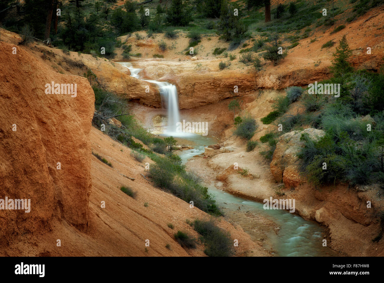 Cascata sul fosso tropico di flusso. Il Parco Nazionale di Bryce, Utah Foto Stock