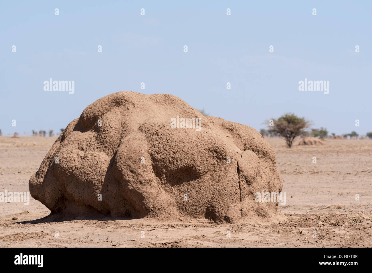 Un grande tumulo termite sulla pianura Alledeghe (vicino a fior d'acqua), Etiopia Foto Stock