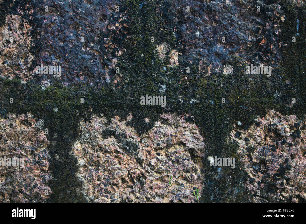 Muro di pietra da materiale naturale di una pietra Foto Stock