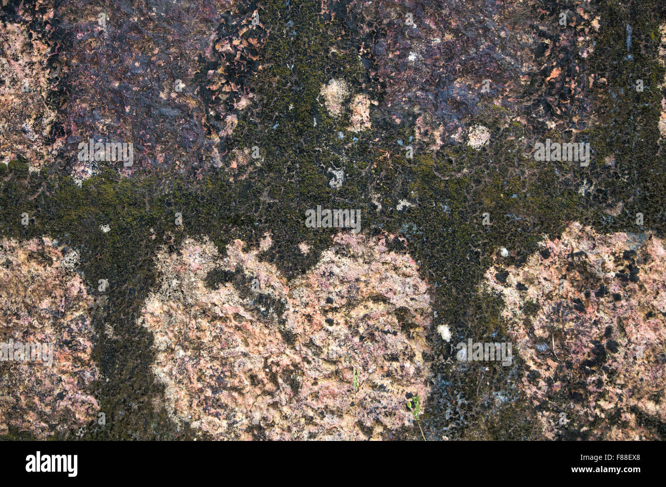 Muro di pietra da materiale naturale di una pietra Foto Stock