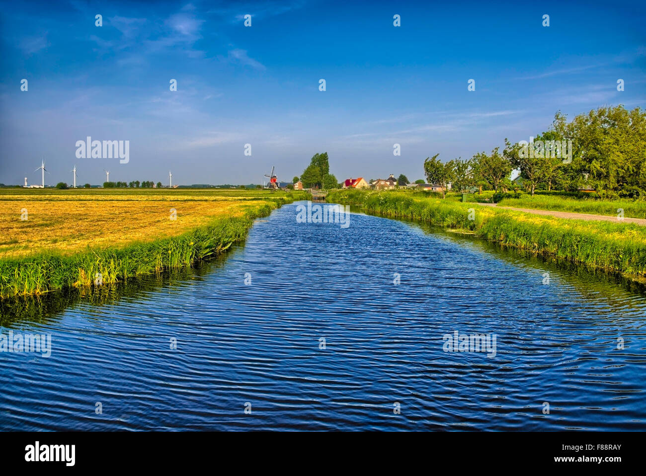 Paesaggio olandese con un canale e i campi di erba con specchio reflec Foto Stock