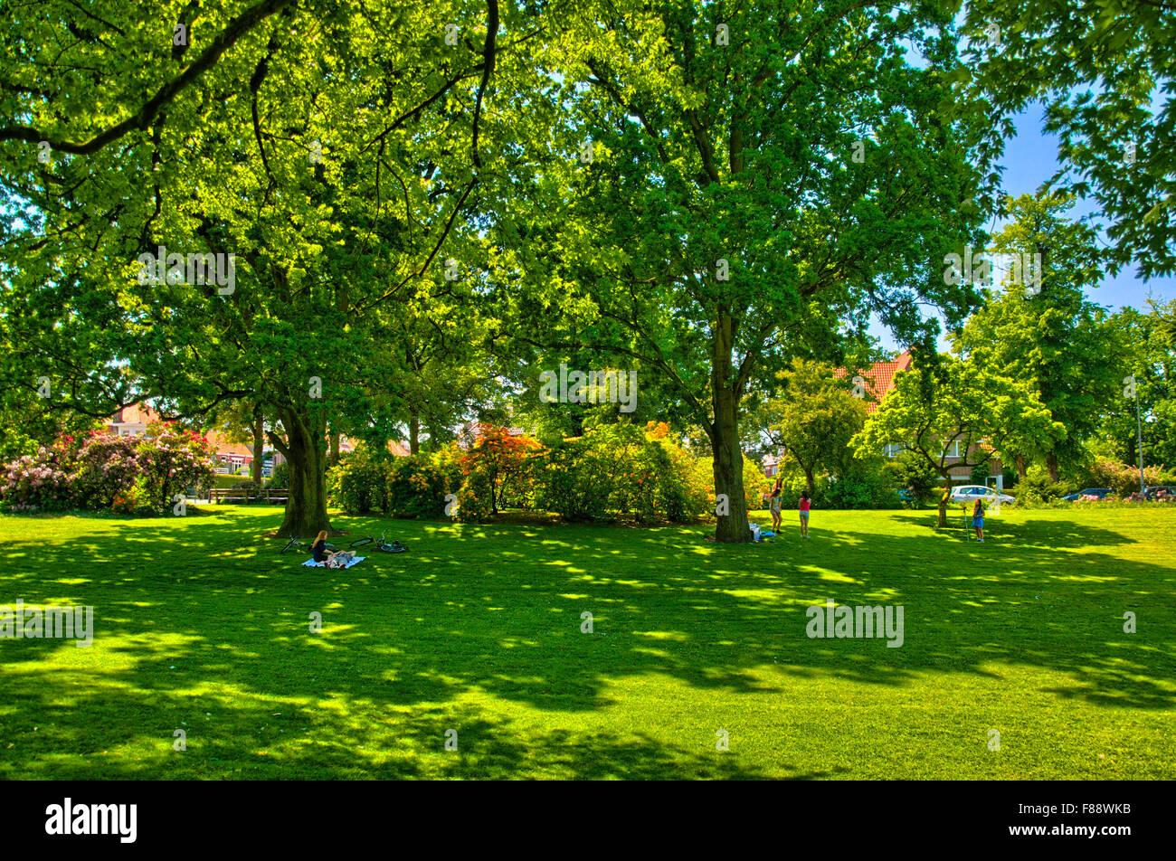 Erba verde in un soleggiato parco in Begren op Zoom, Olanda, paesi Foto Stock