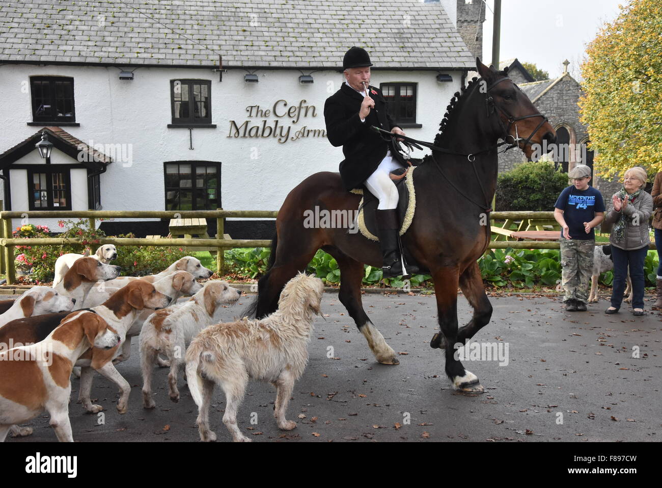 Il Galles, Regno Unito. Il 31 ottobre 2015. Peter Harper, egli huntsman a Tredegar agricoltori Hunt, portando i segugi per iniziare la giornata. Foto Stock