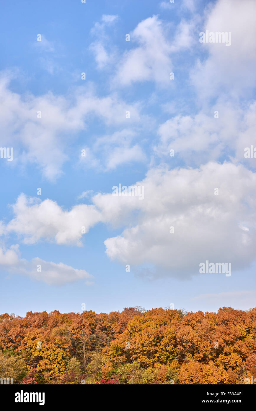 Il cielo blu con nuvole e colori autunnali su una montagna Foto Stock