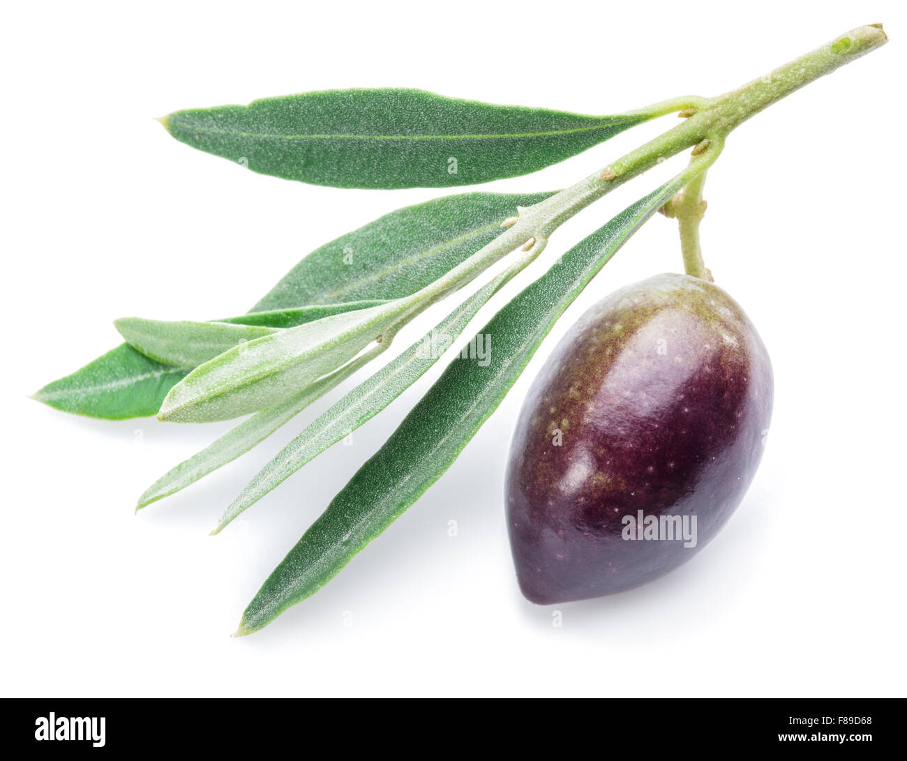 Olive fresche con foglie su sfondo bianco. Foto Stock