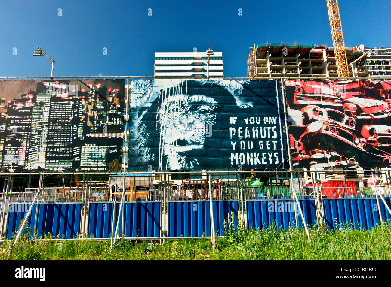 Gru in cantiere di un complesso, area recintata, cartelloni, Zuidas nuovo quartiere finanziario e commerciale. Amsterdam, Olanda, Paesi Bassi, Europa Foto Stock
