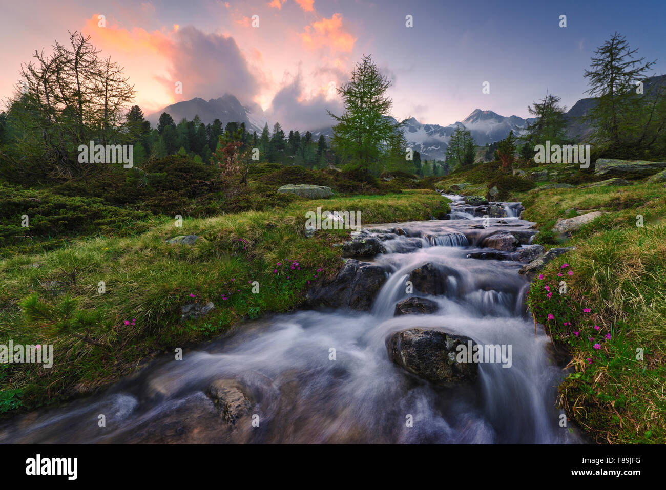 Mountain Creek, Alpi, Svizzera, Europa Foto Stock